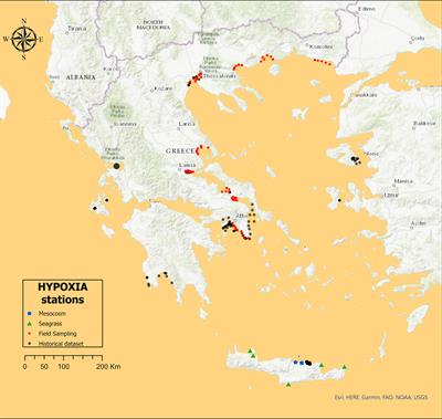 Benthic–Pelagic Coupling in the Oligotrophic Eastern Mediterranean: A Synthesis of the HYPOXIA Project Results